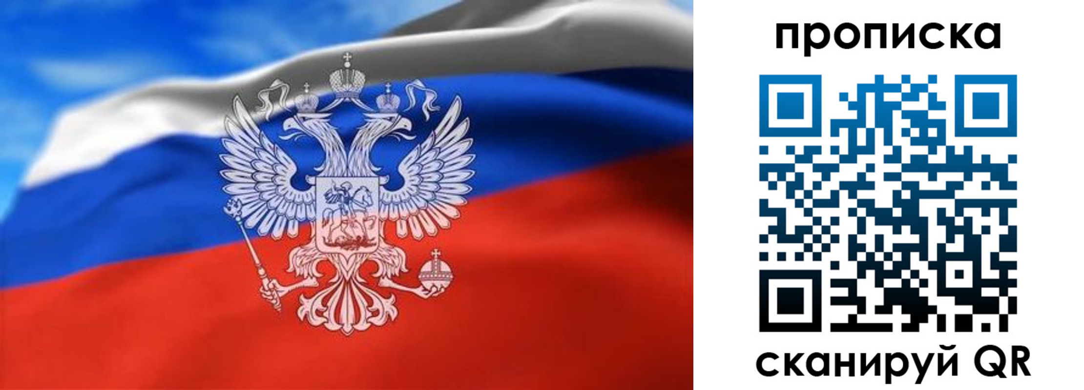 временная регистрация гарантия в Волосово